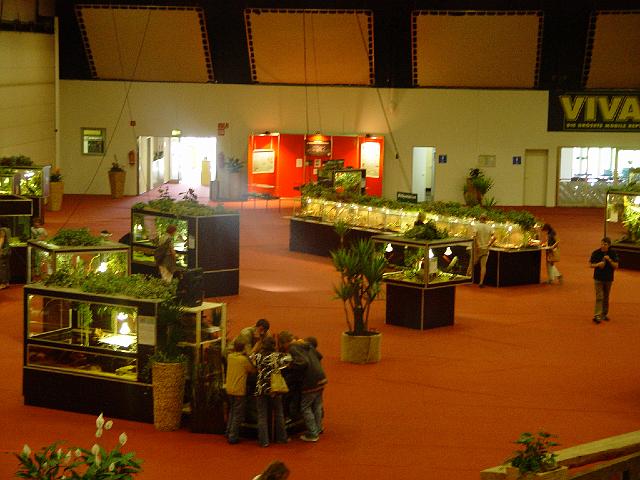 DSC01223.JPG