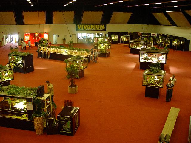 DSC01234.JPG
