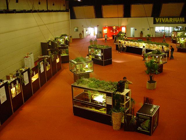 DSC01235.JPG