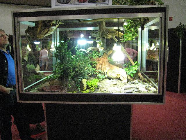IMG_0577.JPG