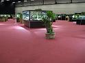 IMG_0386